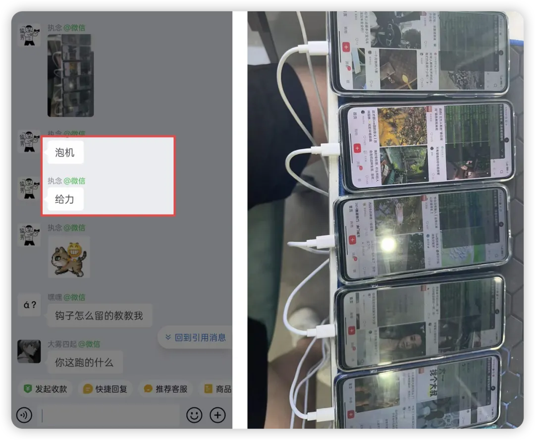 渡鸦科技社